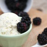 Honey-Poppyseed Frozen Yogurt