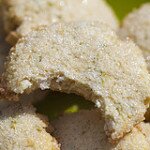 Coconut-Lime Cookies