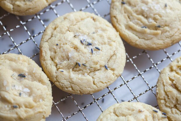 Salted White Chocolate Lavender Cookies | www.spachethespatula.com #recipe