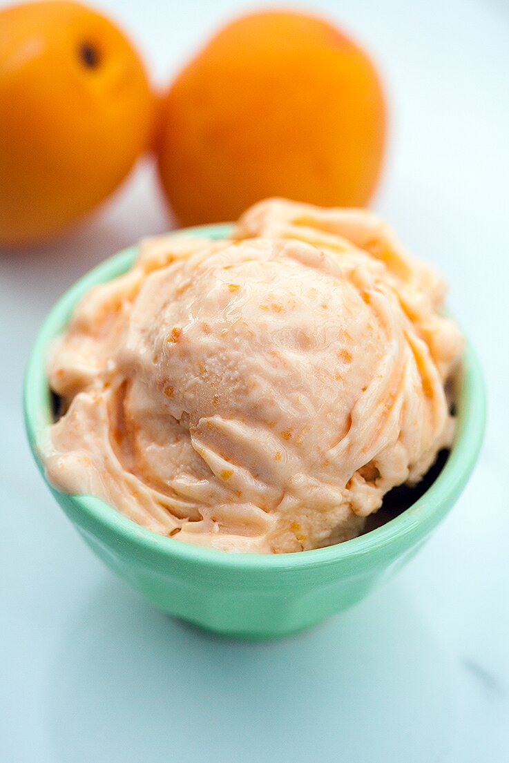 Honey Apricot Frozen Yogurt | www.spachethespatula.com #recipe