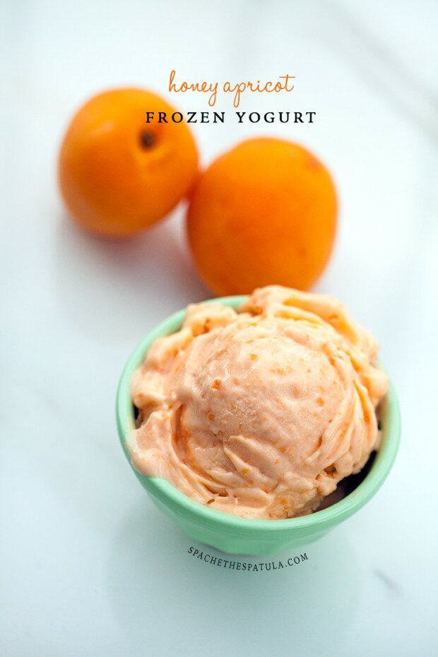 Honey Apricot Frozen Yogurt | www.spachethespatula.com #recipe