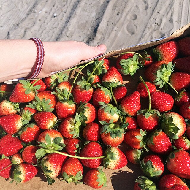 These strawberry preserves couldn't be simpler to make. Large strawberry chunks make this irresistible! Enjoy on toast, or try over ice cream for serious enjoyment! | www.spachethespatula.com #recipe