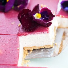 These pretty, little cheesecake squares are creamy, dreamy, no-bake delights! | www.spachethespatula.com #recipe