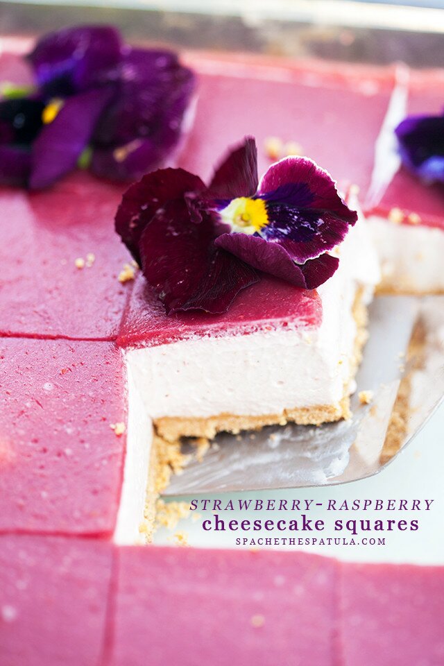 These pretty, little cheesecake squares are creamy, dreamy, no-bake delights! | www.spachethespatula.com #recipe