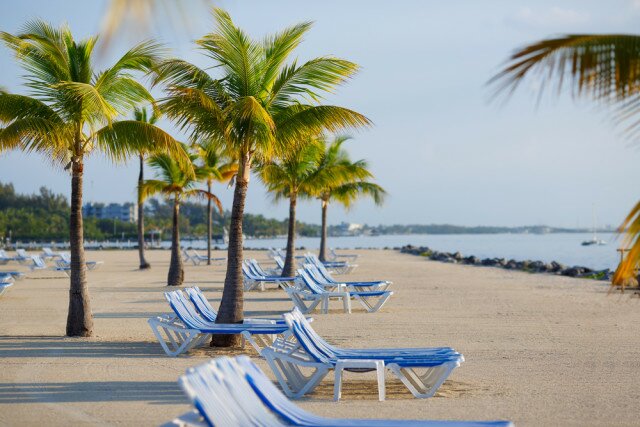 Transport your tastebuds to The Keys with the Yellowtail Snapper crusted with fried onions rings, and topped with a lime-butter sauce and mango salsa! #FLKeys | www.spachethespatula.com #recipe